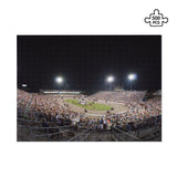 The Big Oval Jigsaw Puzzle (500-Piece)